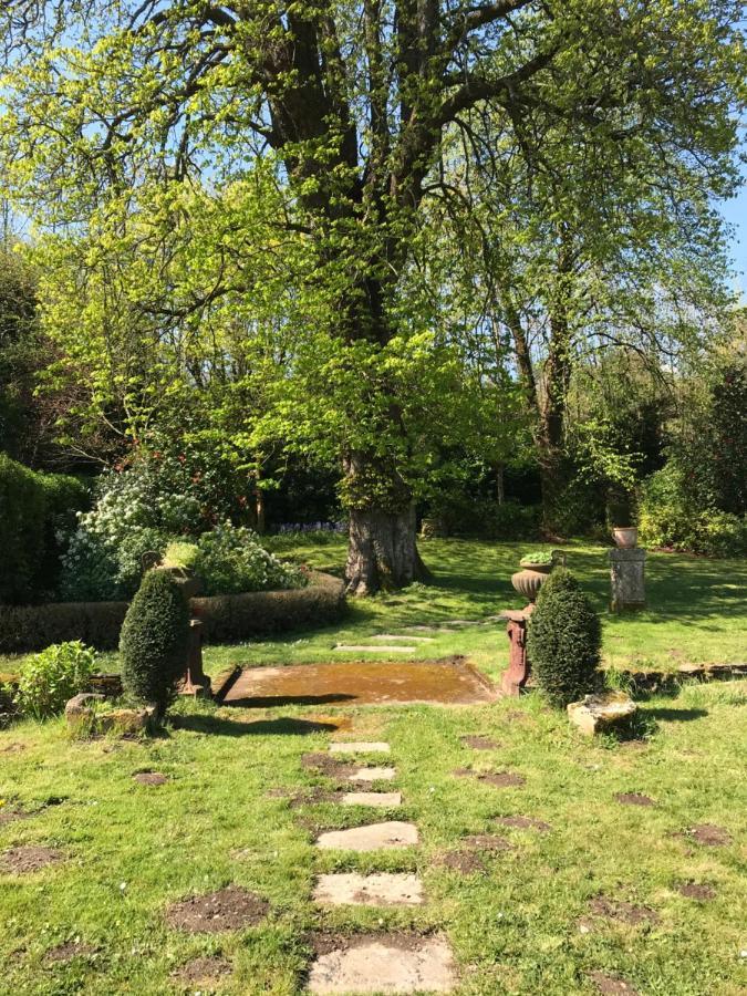 Residence Le Petit Paradis Labastide-Rouairoux Eksteriør billede