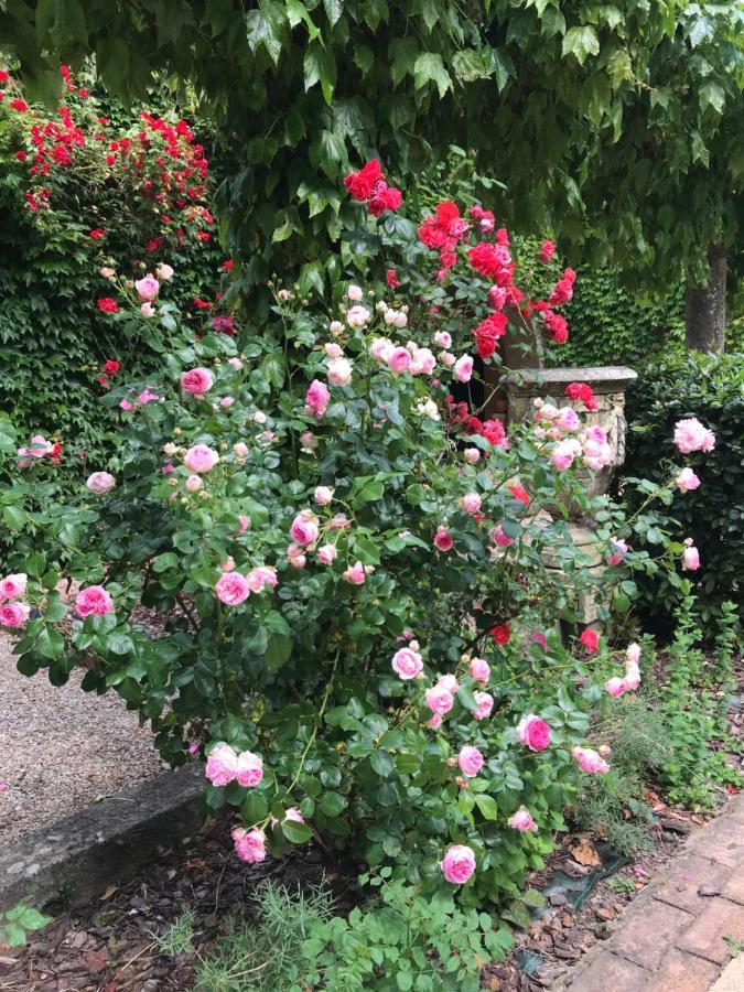 Residence Le Petit Paradis Labastide-Rouairoux Eksteriør billede